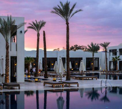 a large swimming pool surrounded by palm trees