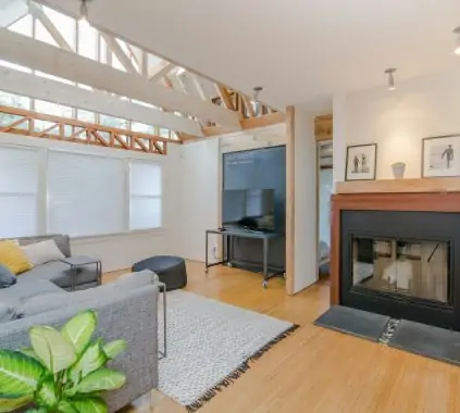 living room set with green dumb cane plant